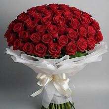 Букет 101 Красная роза Блэк Мэджик в Головино